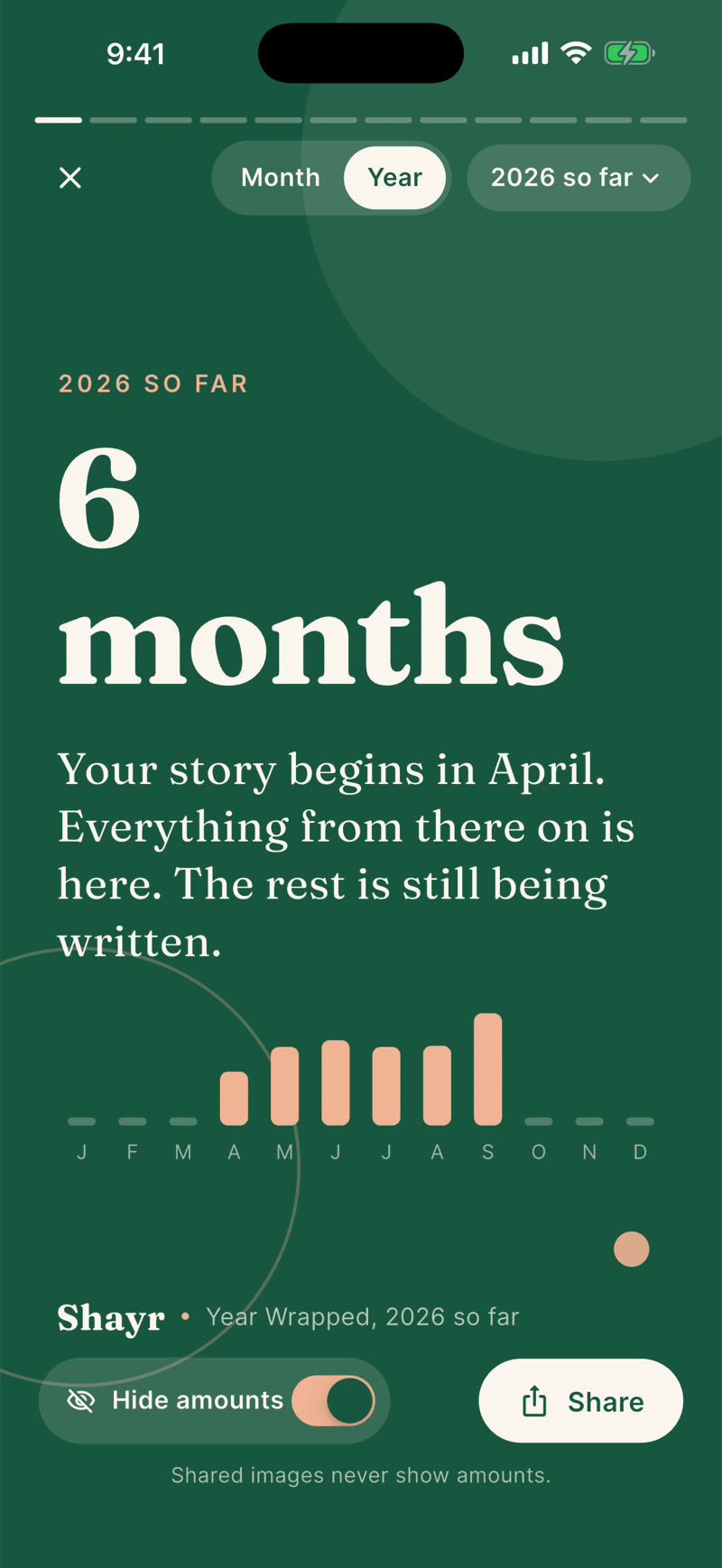 The Year Wrapped opening card reading 6 months, with a mini bar chart of months and a caption that the story begins in April.